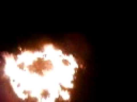 DIHORNITA LA GARBOVI TRADITIE