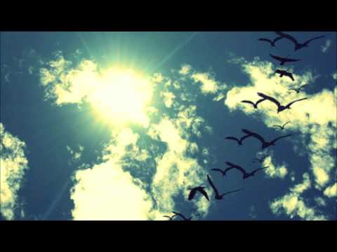 Vogelvlucht