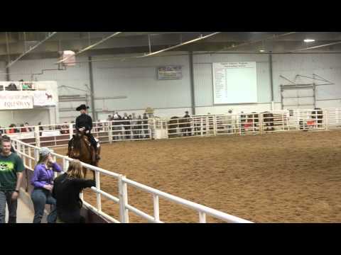 Maggie Curran - Team Novice Horsemanship - IHSA Western Semi-Finals 2014