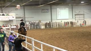 Maggie Curran - Team Novice Horsemanship - IHSA Western Semi-Finals 2014