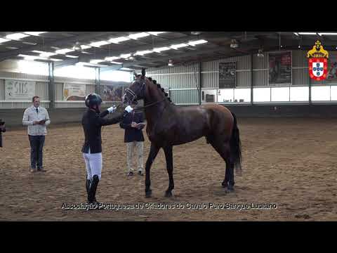 230424 3 Nababo - Aprovação de Garanhões