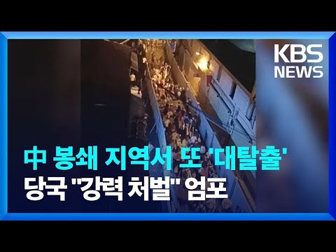 아이콘