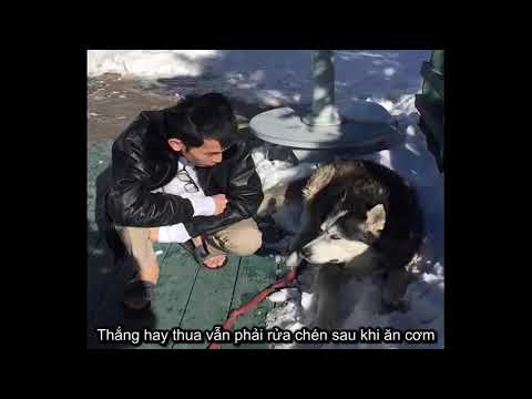 Dmcs4 - Nah | Lyrics