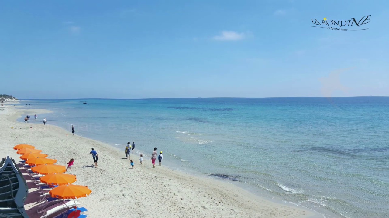 Video La Rondine