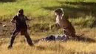 National Geographic : Siberian Tiger unleash on dummy