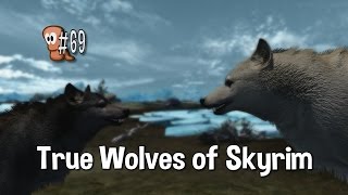 Skyrim Mods #69 - True Wolves of Skyrim