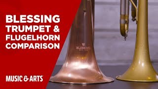 Video thumbnail for E.K. Blessing - Trumpet & Flugelhorn Comparison by Music & Arts
