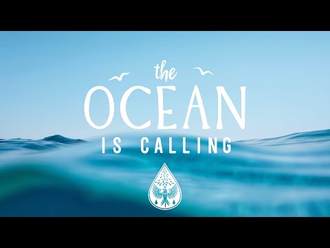 The Ocean Is Calling ???? - A Coastal Indie/Pop/Folk Playlist
