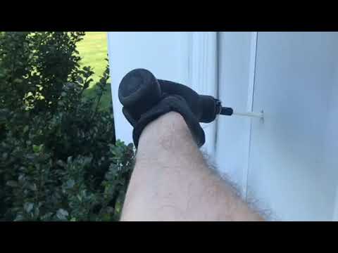 Yellow Jacket Removal in Brielle, NJ during Home Protection Plan