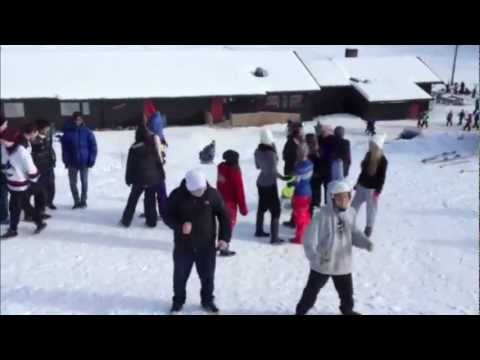 Harlem Shake Marikollen 2013