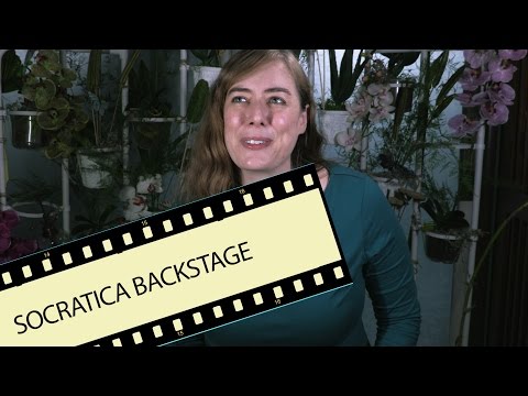 Behind the Scenes - New Biology Series Set - Socratica Backstage