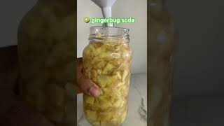 Download lagu Homemade soda. Kiwi gingerbug soda #gingerbug #homemadesoda #gingerbugsoda #probioticdrink #soda mp3