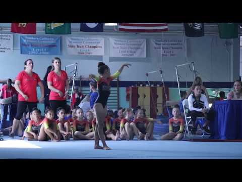 Adrienne Fleener 1st Floor Olympic Dreams Invite 2017 Wildfire Gymnast Level 3