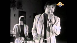 The Troggs  - With A Girl Like You .  HD