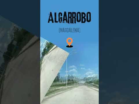 Algarrobo (Magdalena).  #carretera
