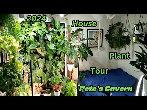 House Plant Tour Spring 2024|Inside Edition|Plant Room