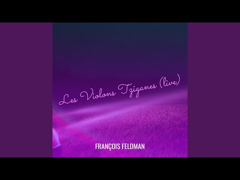 Les Violons Tziganes (live)