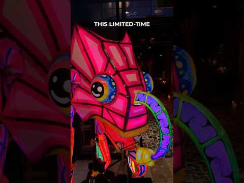 Colors of Mexico has transformed their ENTIRE venue for Día de Muertos  #lasvegas