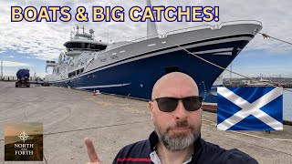 Peterhead Harbour Tour: Europe’s Largest Whitefish Market