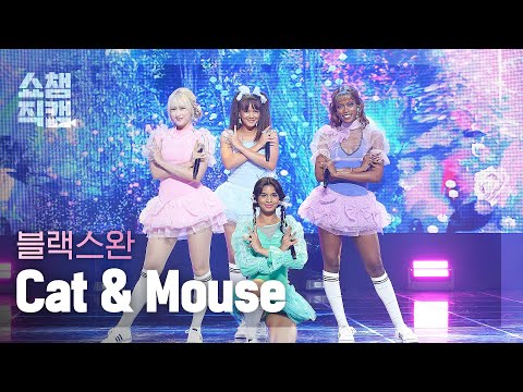 [쇼챔직캠 4K] BLACKSWAN - Cat & Mouse (블랙스완 - 캣 & 마우스) l Show Champion l EP.493 l 230927