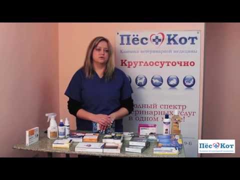 Эффективно избавится от веснушек Пигментные пятна и родимые пятна