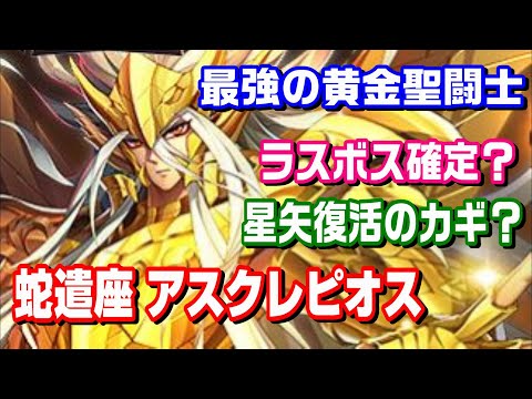 シャイナ科について詳しく解説