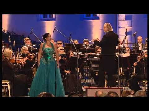 Plenerowy koncert operowo-operetkowy w Trzebieszowicach (2011) - część I