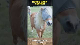 Why Horses Wear These Weird Masks 🐴😷