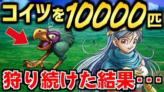 最終話【ドラクエ3リメイク】魔法使いほぷこの一人旅　第7話「大魔道士」～ 祝HD-2Dリメイク！