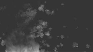 Timewave Transmissions - Transmission Two