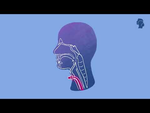 Kanültípusok fej-nyaki daganattal érintettek számára