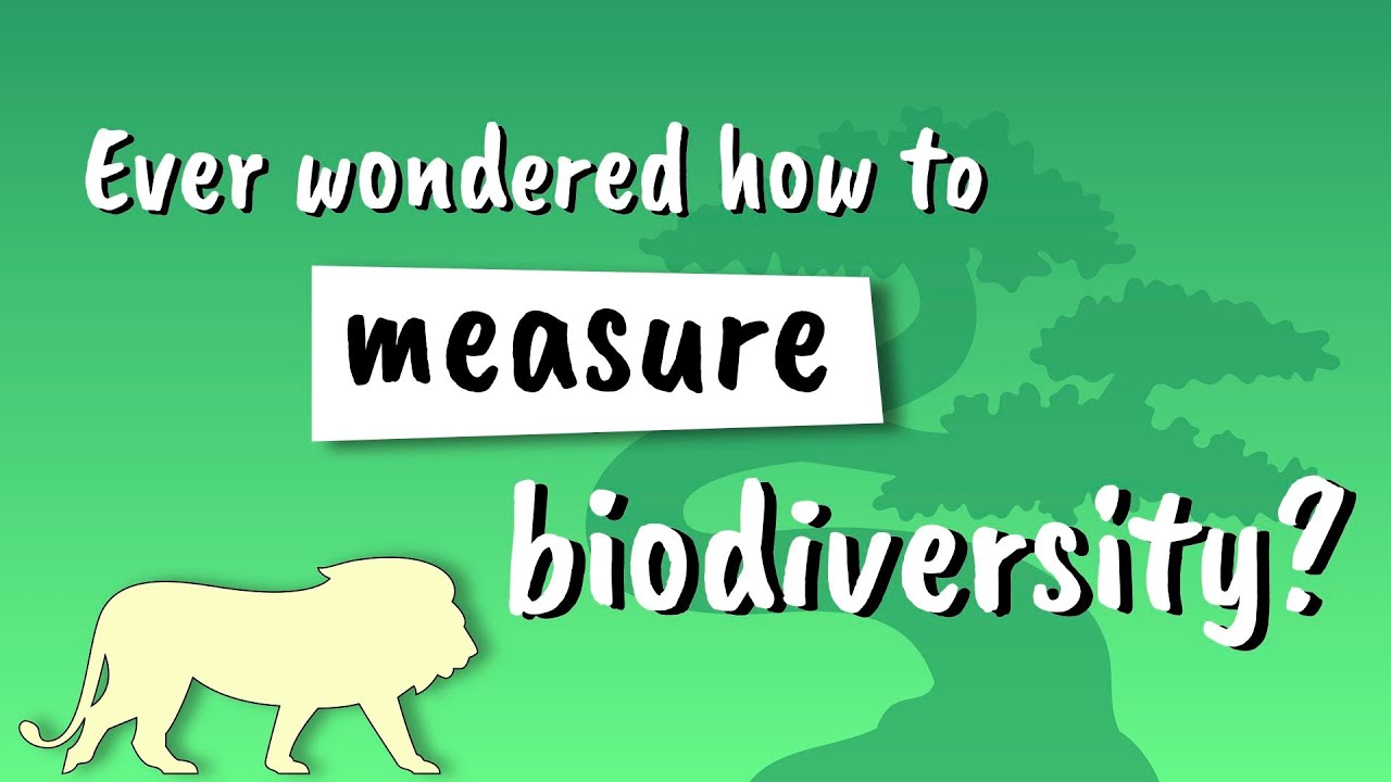 Simpson's Diversity Index Explained