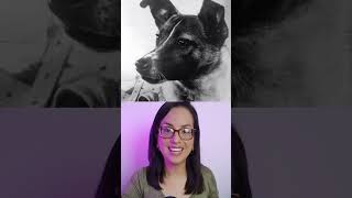 La increíble y triste historia de Laika