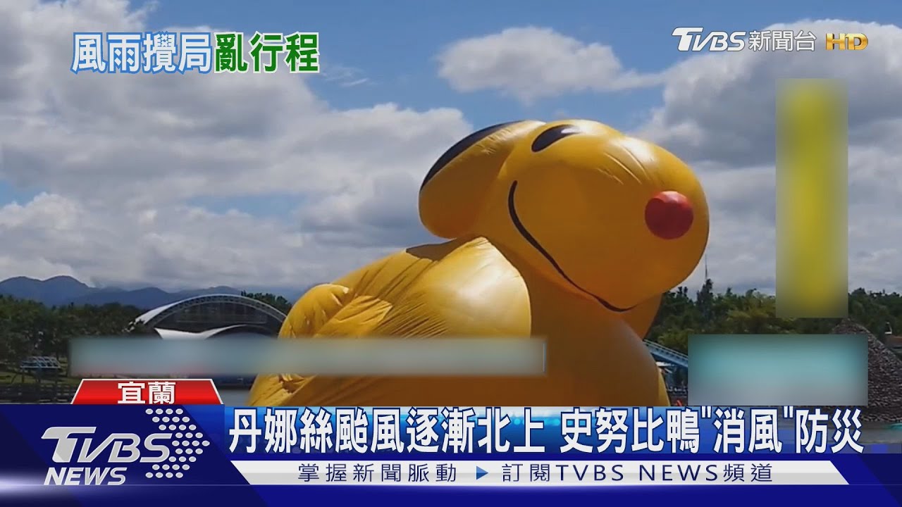 花火節煙火秀緊急取消!丹娜絲颱風強襲 史努比鴨消風、遊客急返台