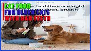 Top 5 Best Cat Food for Older Cats With Bad Teeth 2026 |