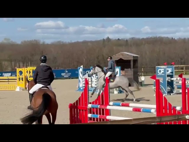 &Agrave; vendre jolie jument de 5 ans 