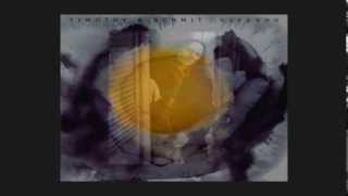 Timothy B  Schmit ~ Melancholy