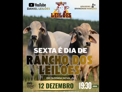 Fazenda Nova - GO  12/12/2025
