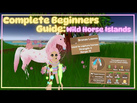 COMPLETE BEGINNERS GUIDE WILD HORSE ISLANDS | ROBLOX