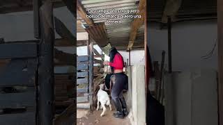 FINAL EPICO! (YouTube no quiere que mires este video) #shorts #tiktok