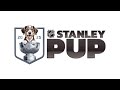 2025 Stanley Pup More Dogs NHL Players Celebrities ️