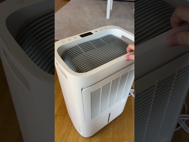 Video teaser for Ecofort ecoQ DryAir 20L Energy Saver Review – Carolines Test des Luftentfeuchters