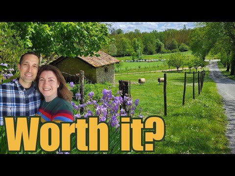 We moved to France from the USA - Was it Worth it?