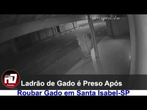 Ladrão de Gado é Preso em Santa Isabel