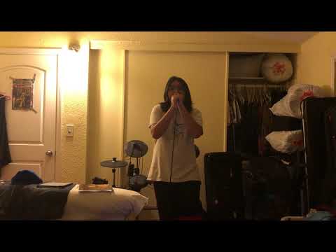 RED HOT CHILI PEPPERS - Californication (vocal cover)