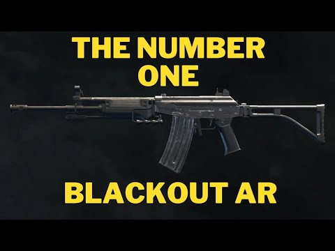 The Hardest Hitting AR in Blackout - 20k Quads - Blackout 2024