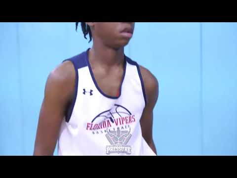 Florida Vipers “ The Merger “