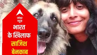 Toolkit Conspiracy: Timeline of events explained, what & when happened? | DOWNLOAD THIS VIDEO IN MP3, M4A, WEBM, MP4, 3GP ETC