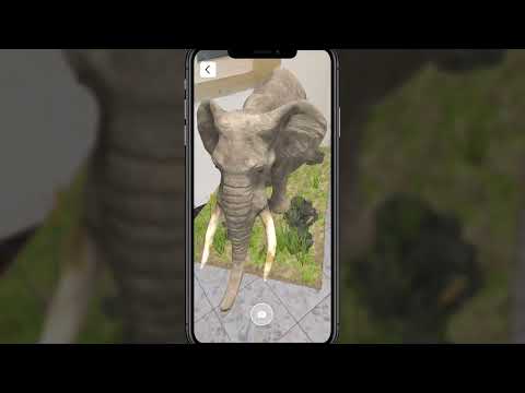 Animal AR App I Demo Clip Video