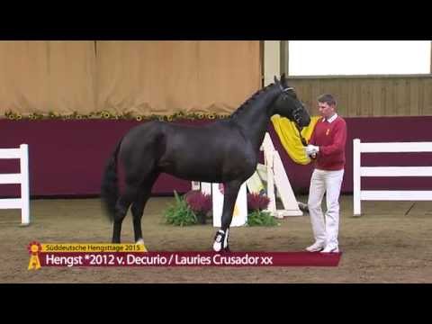 Decurio - Lauries Crusador xx - KN 11